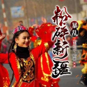 粉碎新疆暴亂全紀(jì)實(shí)