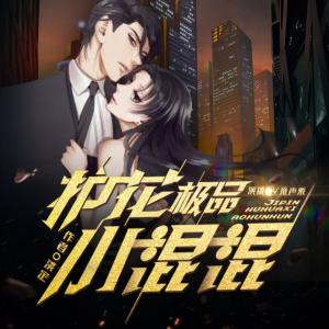 護(hù)花極品小混混