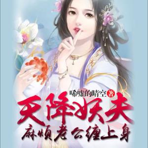 天降妖夫：麻煩老公纏上身
