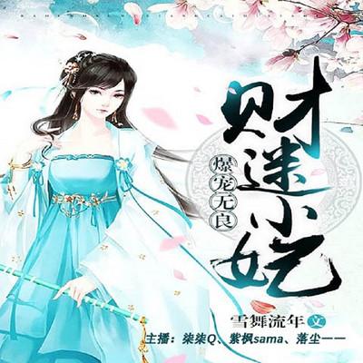 爆寵無良財迷小妃