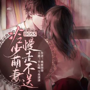 冷少萌妻：BOSS慢走不送