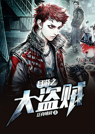 網游之大盜賊