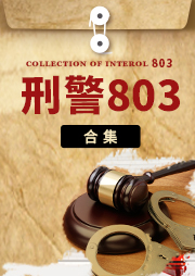 刑警803大全集