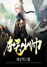 奪天少帥