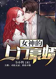 女神的上門豪婿
