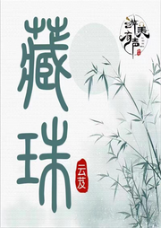 藏珠