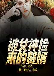 被女神撿來的贅婿