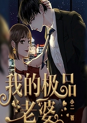我的極品老婆