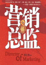 營銷總監(jiān)
