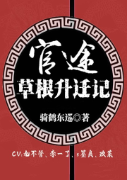官途：草根升遷記