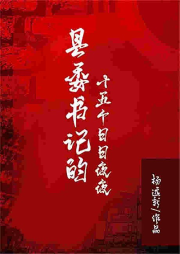 縣委書記的十五個日日夜夜