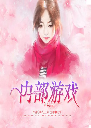 內(nèi)部游戲