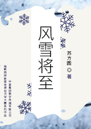 風(fēng)雪將至（檢察長(zhǎng)查冤案）