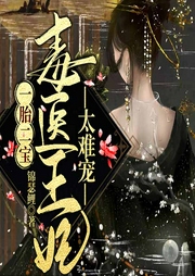 一胎二寶：毒醫(yī)王妃，太難寵