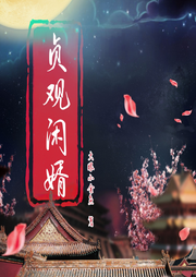 貞觀閑婿