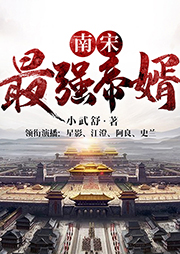 南宋最強(qiáng)帝婿