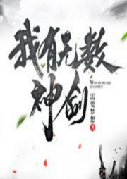 我有無數(shù)神劍