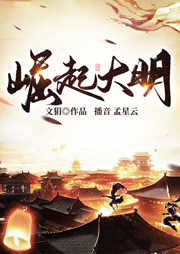 崛起大明