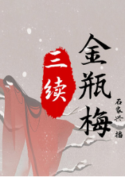 三續(xù)金瓶梅