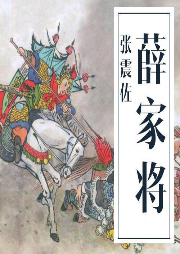 評書《薛家將》