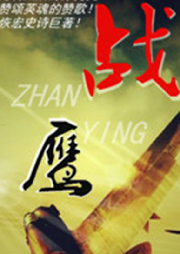 戰鷹（新評書）