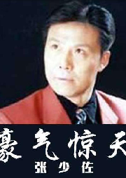 張少佐 長篇評書——豪氣驚天（194回）