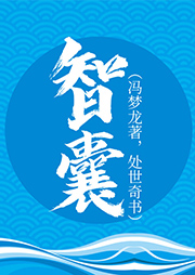 智囊