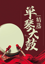 翟青山單琴大鼓精選