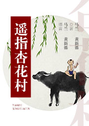電視?。哼b指杏花村
