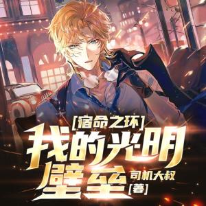 宿命之環：我的光明壁壘