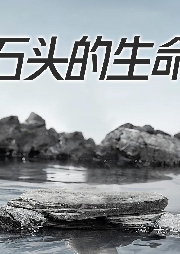 石頭的生命