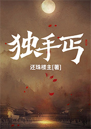 獨手丐
