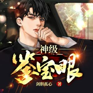 神級鑒寶眼