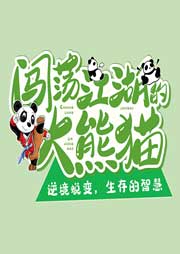 闖蕩江湖的大熊貓