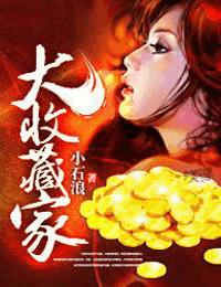 大收藏家