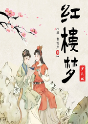 少兒經(jīng)典閱讀紅樓夢(mèng)少兒版