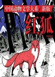 紅狐