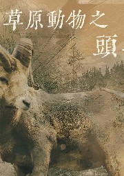 草原動(dòng)物6：頭羊
