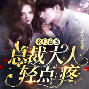 名門私寵：總裁大人輕點，疼