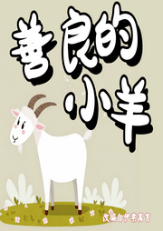 善良的小羊
