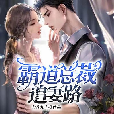 霸道總裁追妻路