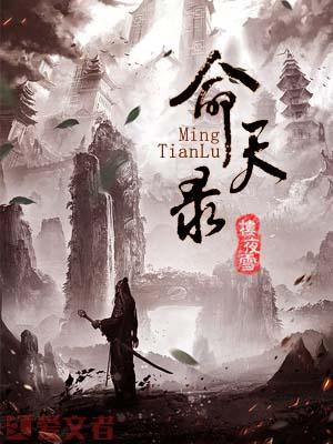 命天錄