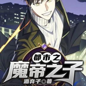都市之魔帝之子