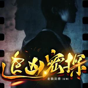 追兇密探