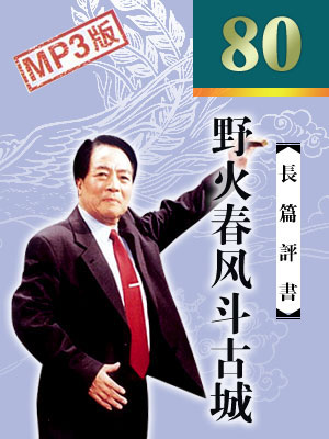 野火春風(fēng)斗古城 全80回