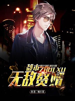 都市無敵贅婿