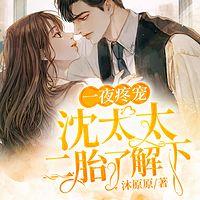 一夜疼寵：沈太太，二胎了解下