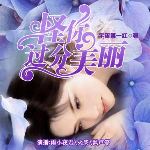 怪你過分美麗