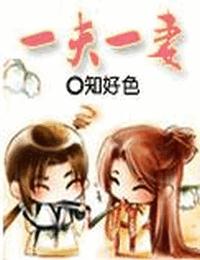 一夫一妻
