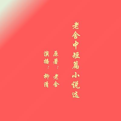 老舍我這一輩子中短篇小說選